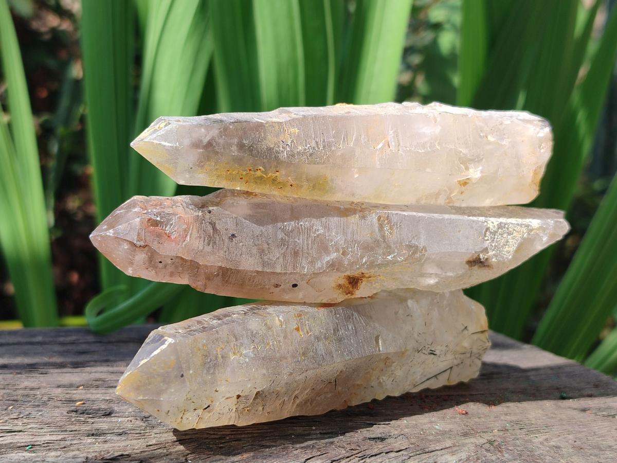 Natural Smokey Quartz Crystals x 12 From Erongo, Namibia