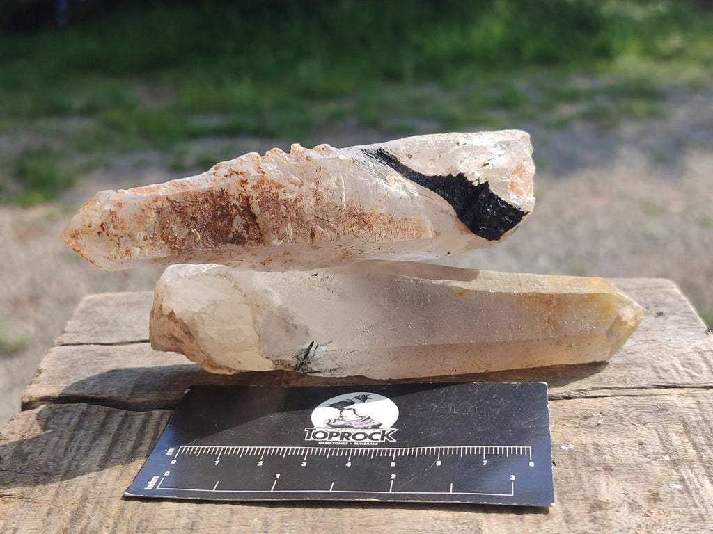 Natural Smokey Quartz Crystals x 12 From Erongo, Namibia