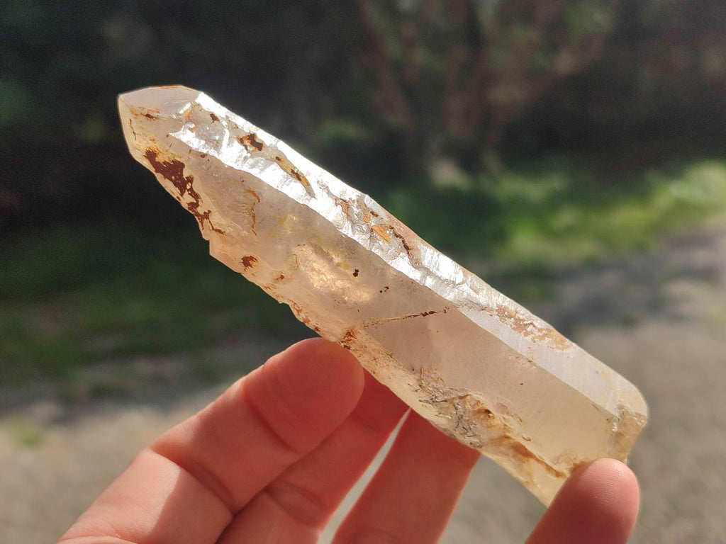 Natural Smokey Quartz Crystals x 12 From Erongo, Namibia