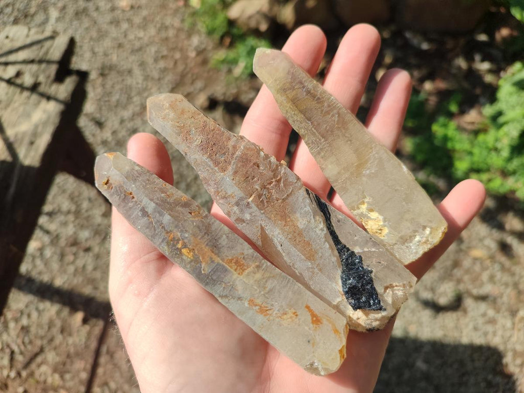 Natural Smokey Quartz Crystals x 12 From Erongo, Namibia