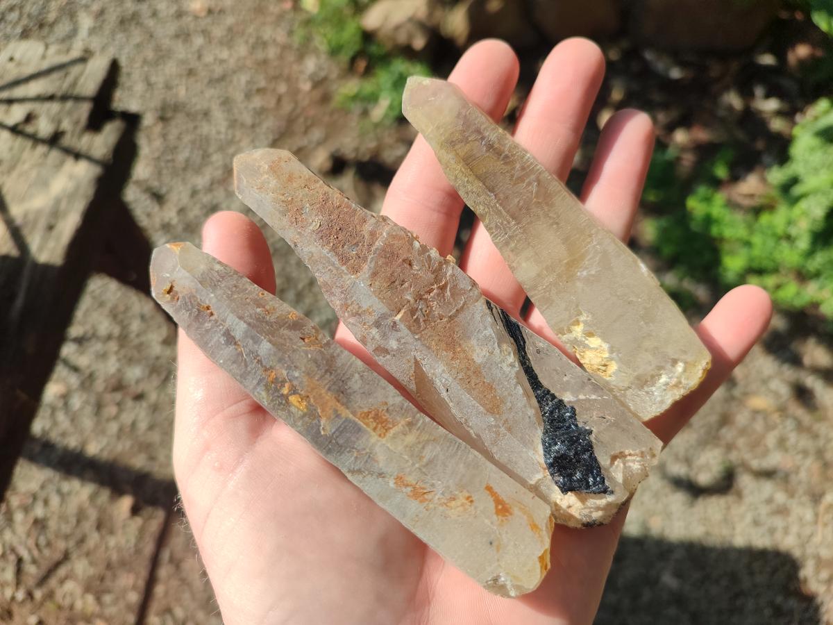 Natural Smokey Quartz Crystals x 12 From Erongo, Namibia
