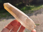 Natural Smokey Quartz Crystals x 12 From Erongo, Namibia