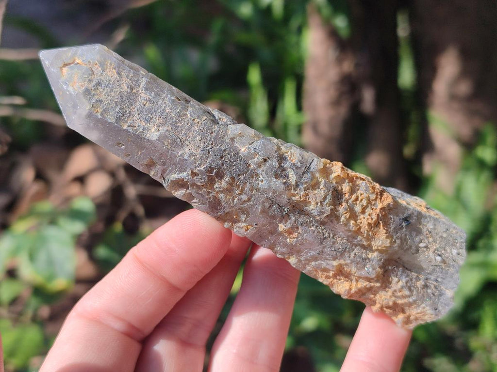 Natural Smokey Quartz Crystals x 12 From Erongo, Namibia