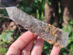 Natural Smokey Quartz Crystals x 12 From Erongo, Namibia
