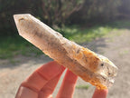 Natural Smokey Quartz Crystals x 12 From Erongo, Namibia