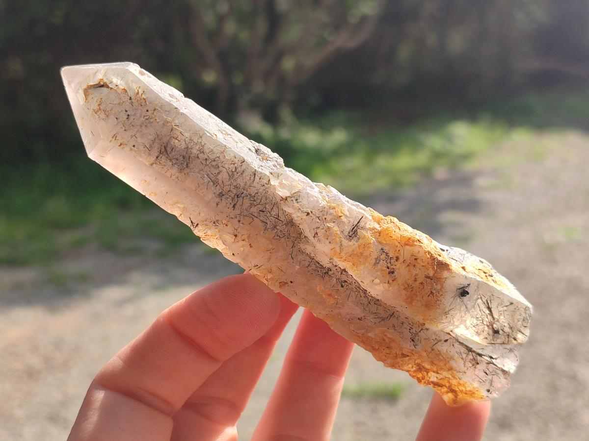 Natural Smokey Quartz Crystals x 12 From Erongo, Namibia