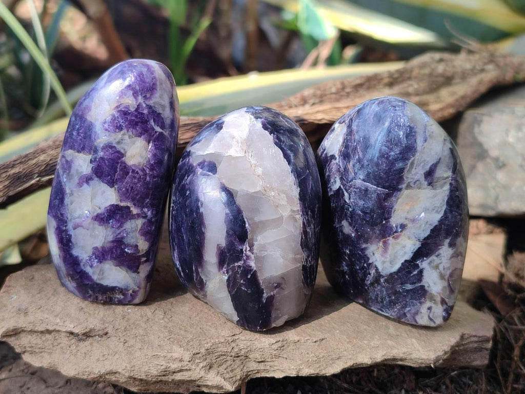 Polished Lepidolite Standing Display Pieces x 12 From Zimbabwe