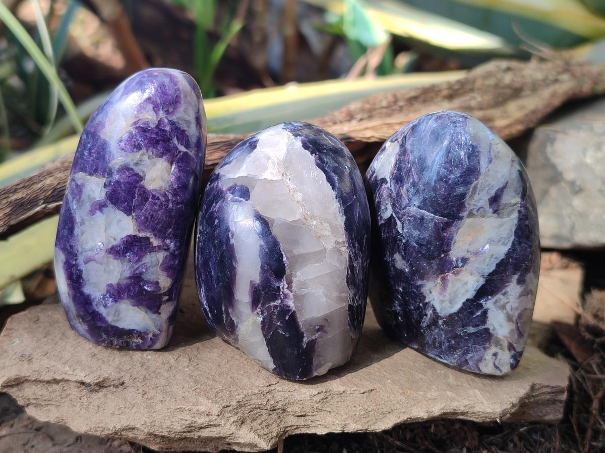 Polished Lepidolite Standing Display Pieces x 12 From Zimbabwe