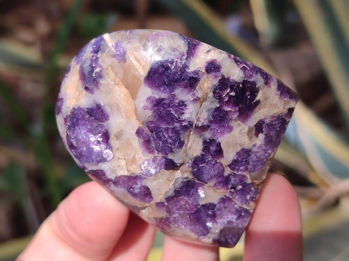Polished Lepidolite Standing Display Pieces x 12 From Zimbabwe