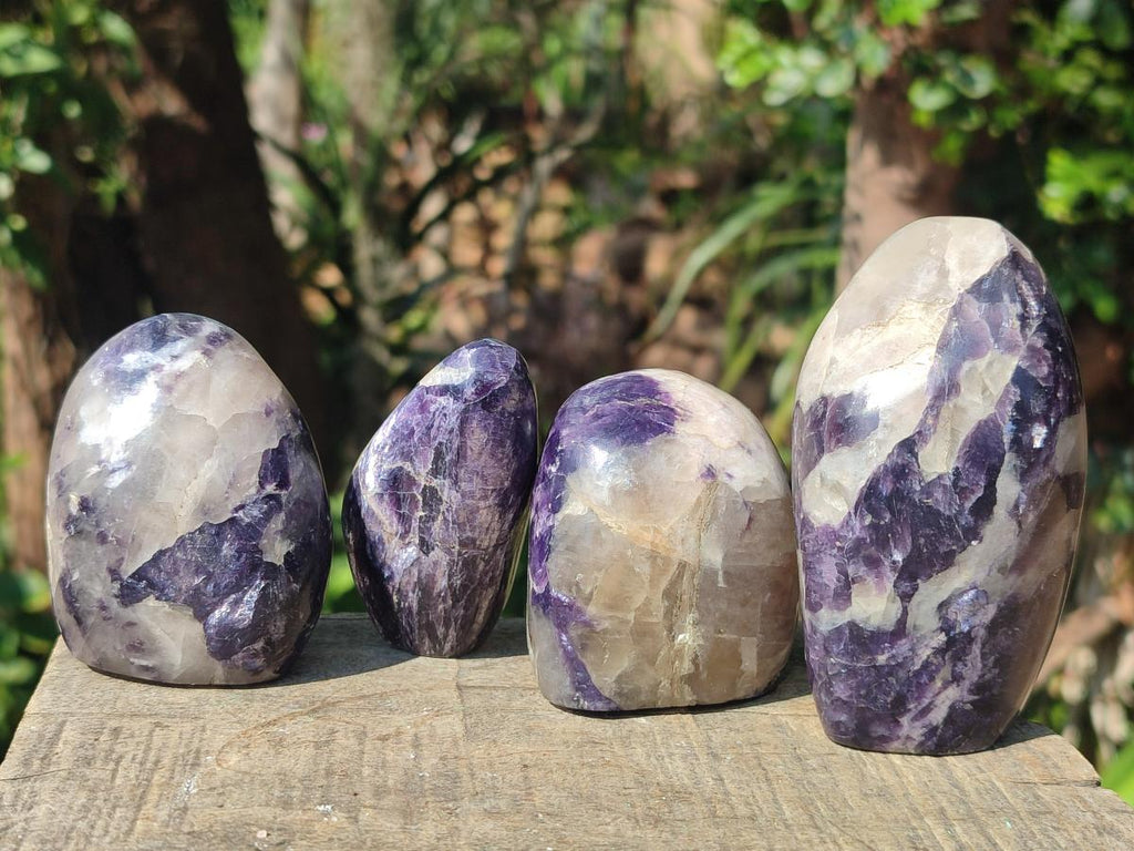Polished Lepidolite Standing Display Pieces x 12 From Zimbabwe