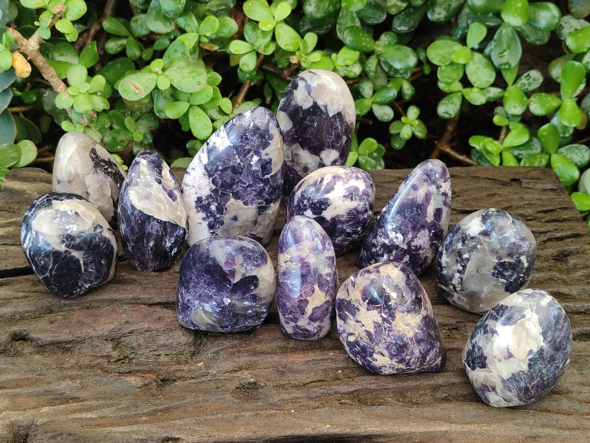 Polished Lepidolite Standing Display Pieces x 12 From Zimbabwe