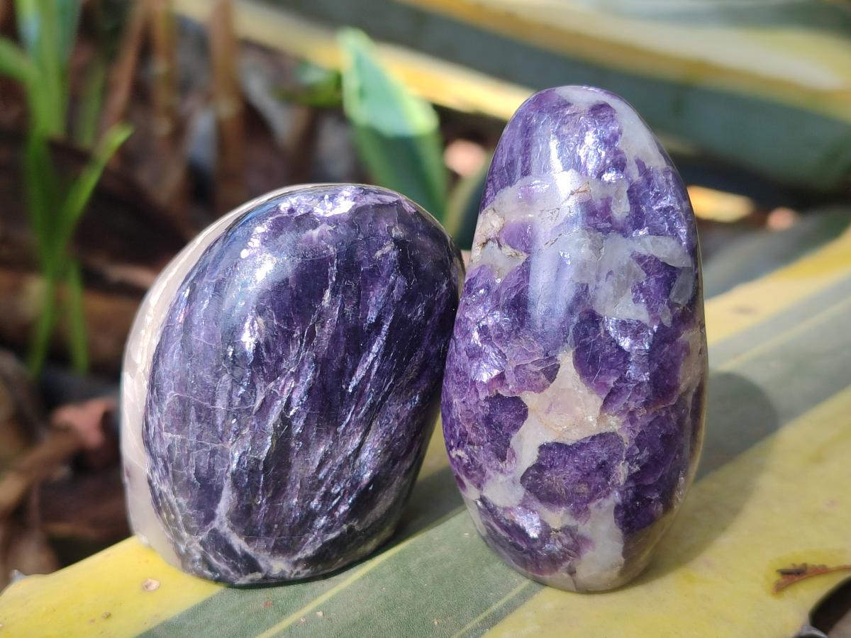 Polished Lepidolite Standing Display Pieces x 12 From Zimbabwe