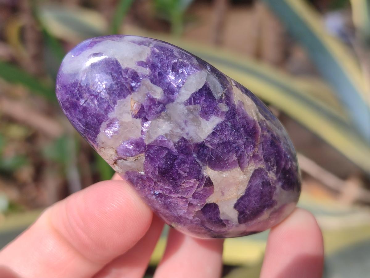 Polished Lepidolite Standing Display Pieces x 12 From Zimbabwe