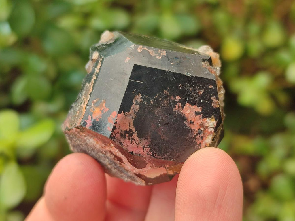 Natural Schorl Black Tourmaline Specimens x 58 From Erongo, Namibia
