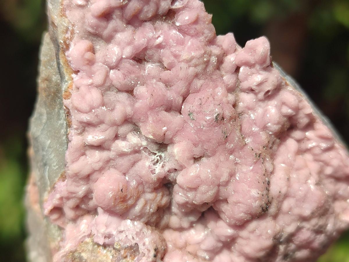 Natural Cabinet Size Spherocobaltite Specimens x 4 From Mashamba West Mine, Congo