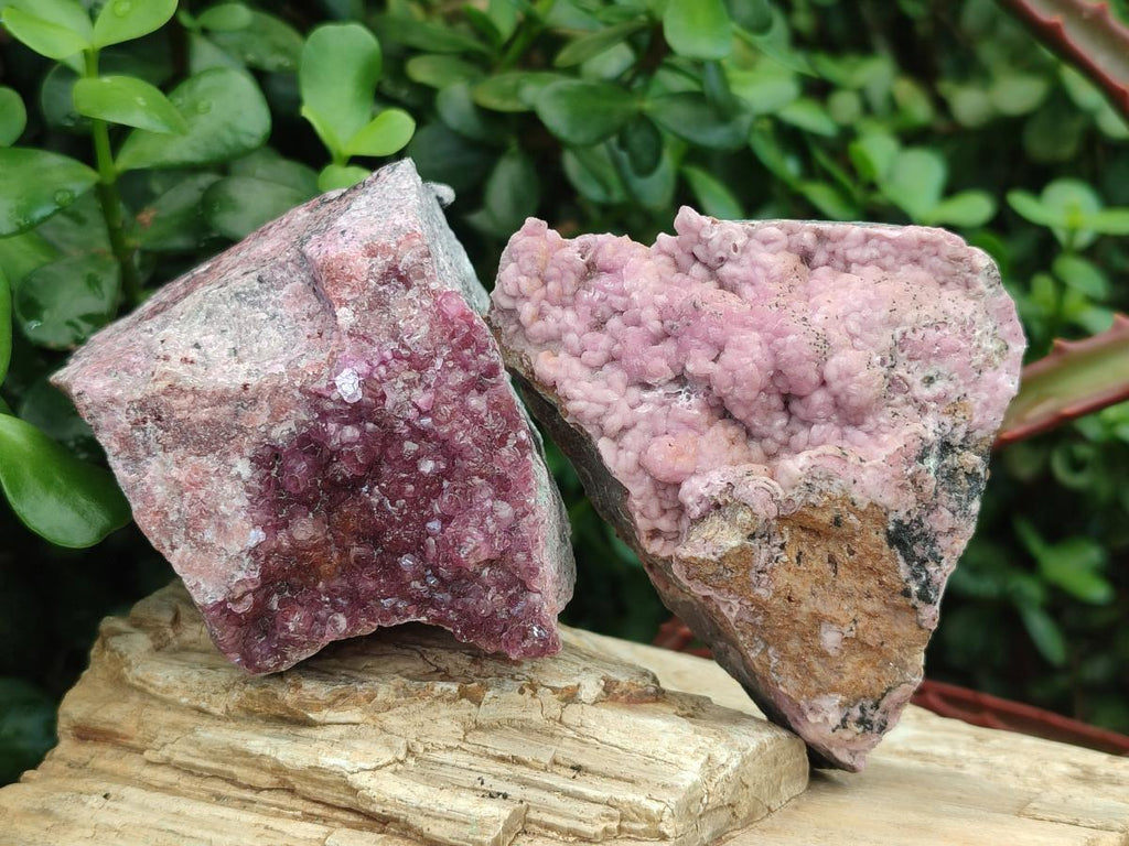 Natural Cabinet Size Spherocobaltite Specimens x 4 From Mashamba West Mine, Congo