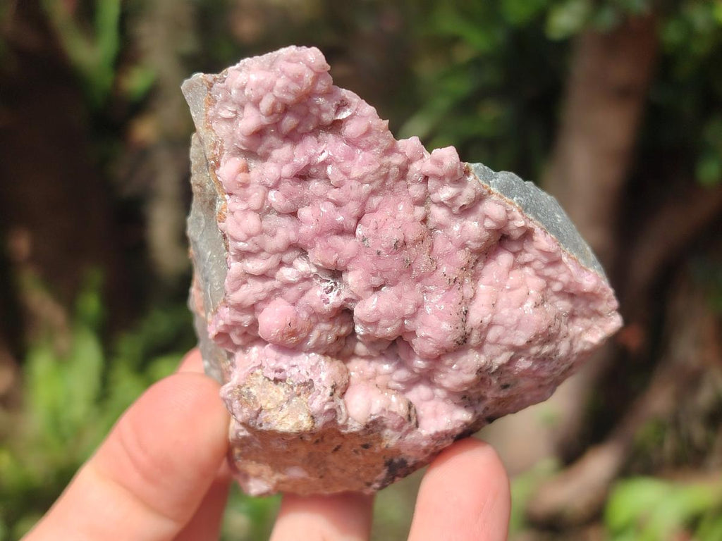 Natural Cabinet Size Spherocobaltite Specimens x 4 From Mashamba West Mine, Congo