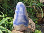Polished XL Blue Lace Agate Standing Display Piece x 1 From Nsanje, Malawi