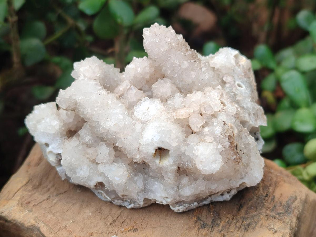 Natural Snow Finger Quartz Coated Clusters x 6 From Albert's Mountain, Lesotho