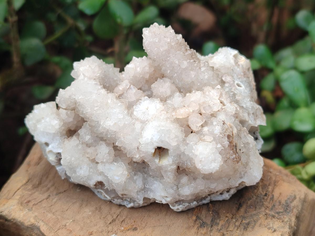 Natural Snow Finger Quartz Coated Clusters x 6 From Albert's Mountain, Lesotho