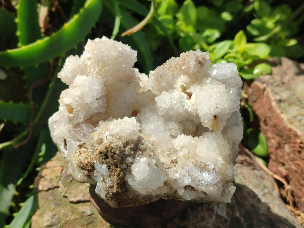 Natural Snow Finger Quartz Coated Clusters x 6 From Albert's Mountain, Lesotho