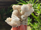 Natural Snow Finger Quartz Coated Clusters x 6 From Albert's Mountain, Lesotho