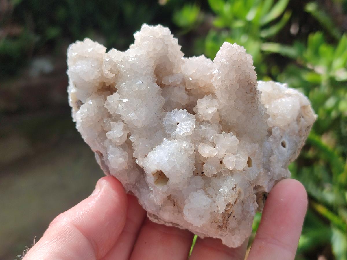 Natural Snow Finger Quartz Coated Clusters x 6 From Albert's Mountain, Lesotho