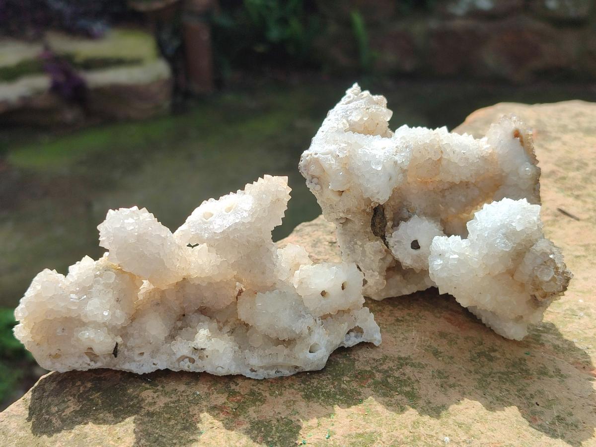 Natural Snow Finger Quartz Coated Clusters x 6 From Albert's Mountain, Lesotho