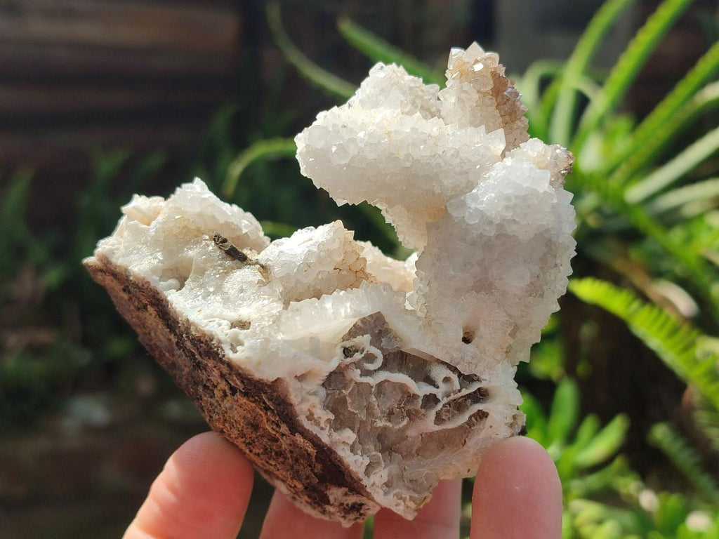 Natural Snow Finger Quartz Coated Clusters x 6 From Albert's Mountain, Lesotho