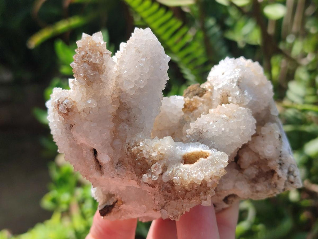 Natural Snow Finger Quartz Coated Clusters x 6 From Albert's Mountain, Lesotho