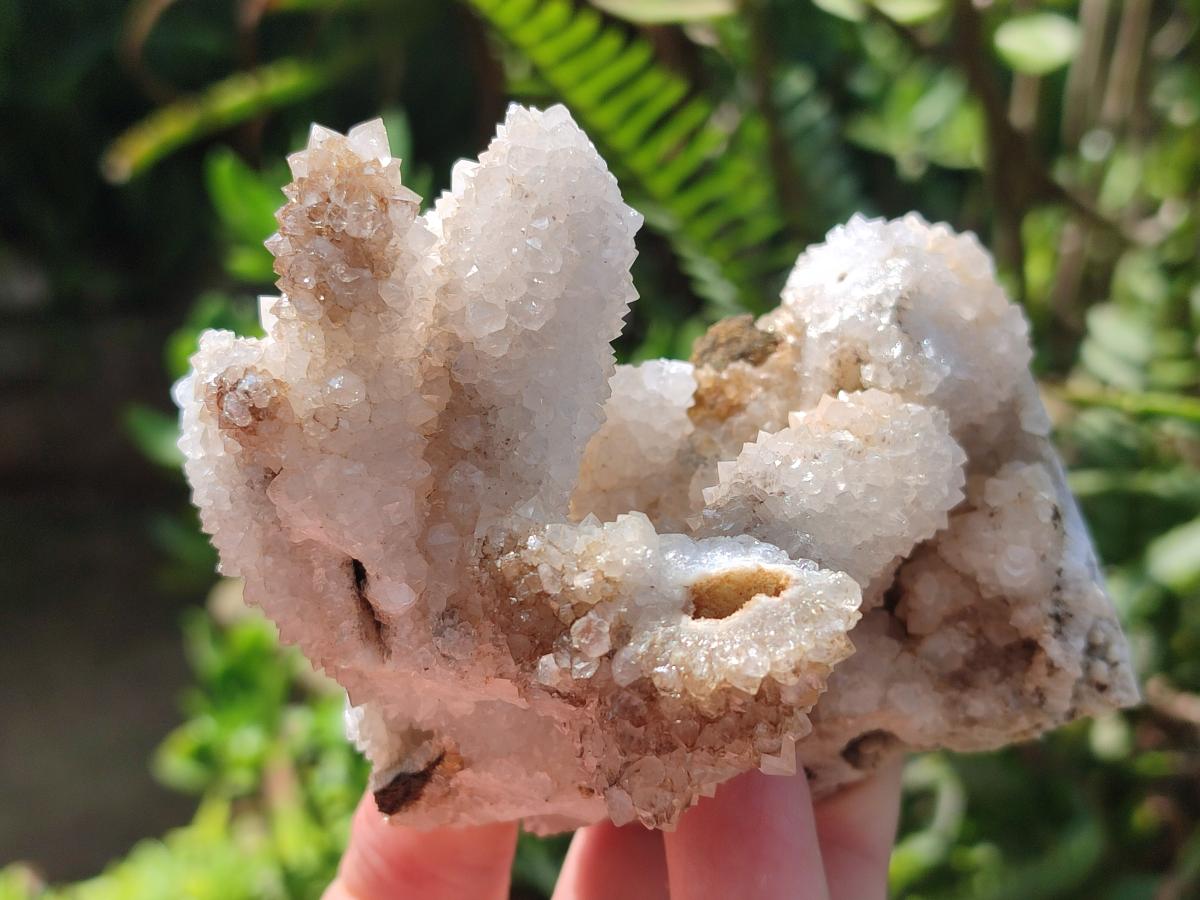 Natural Snow Finger Quartz Coated Clusters x 6 From Albert's Mountain, Lesotho
