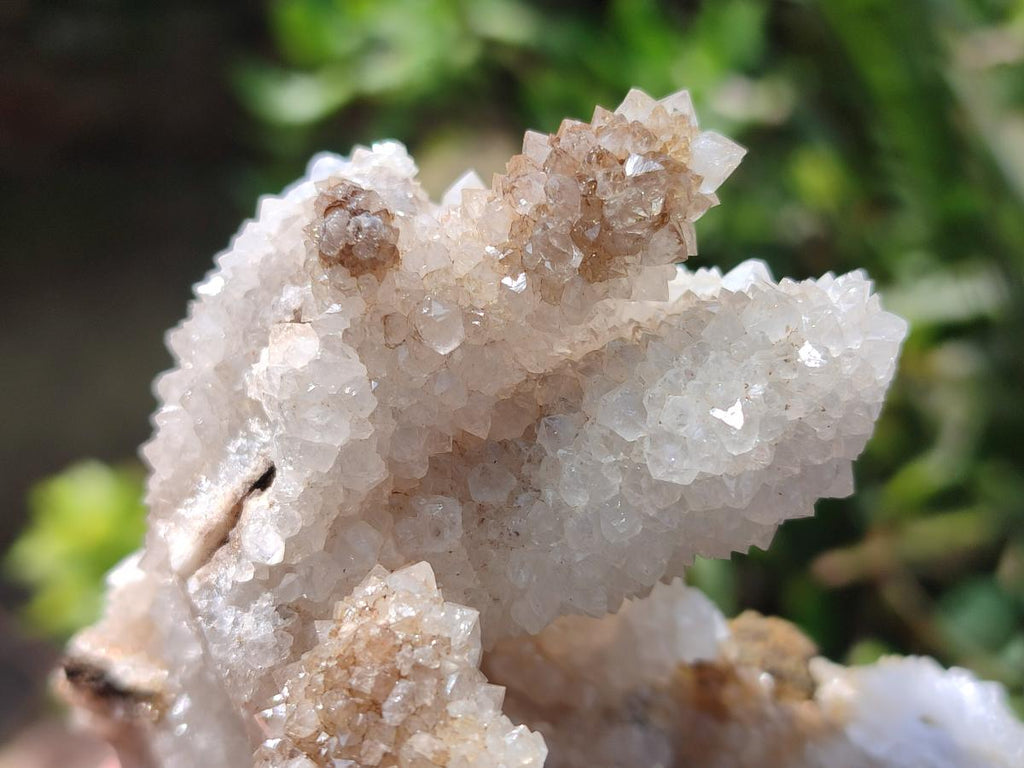 Natural Snow Finger Quartz Coated Clusters x 6 From Albert's Mountain, Lesotho
