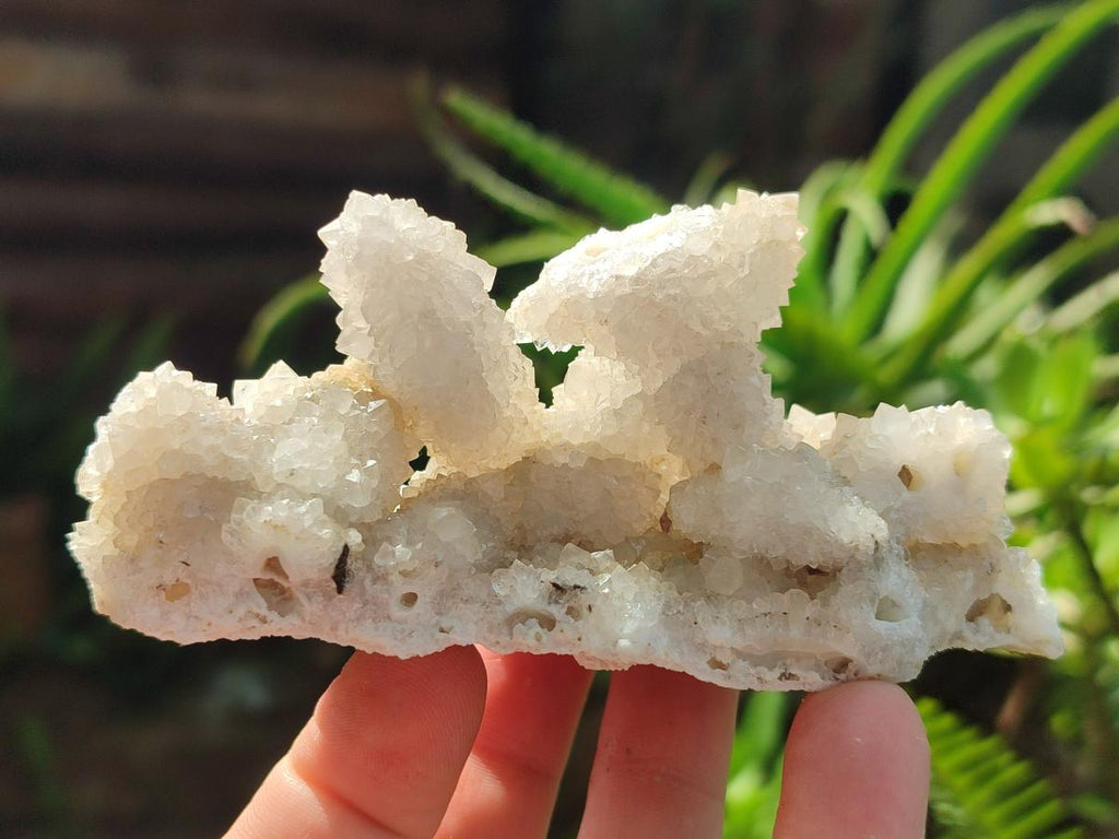 Natural Snow Finger Quartz Coated Clusters x 6 From Albert's Mountain, Lesotho