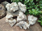 Natural Snow Finger Quartz Coated Clusters x 6 From Albert's Mountain, Lesotho