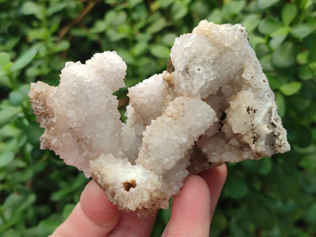 Natural Snow Finger Quartz Coated Clusters x 6 From Albert's Mountain, Lesotho