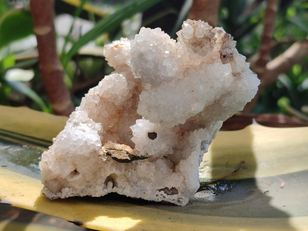 Natural Snow Finger Quartz Coated Clusters x 6 From Albert's Mountain, Lesotho
