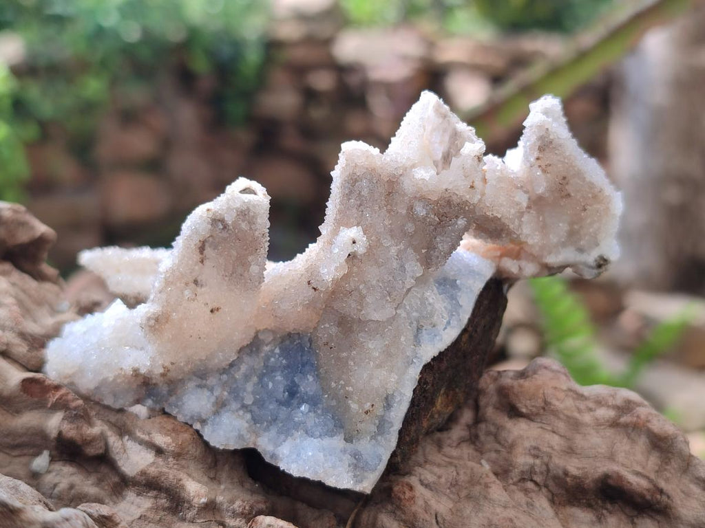 Natural Snow Finger Quartz Coated Clusters x 6 From Albert's Mountain, Lesotho