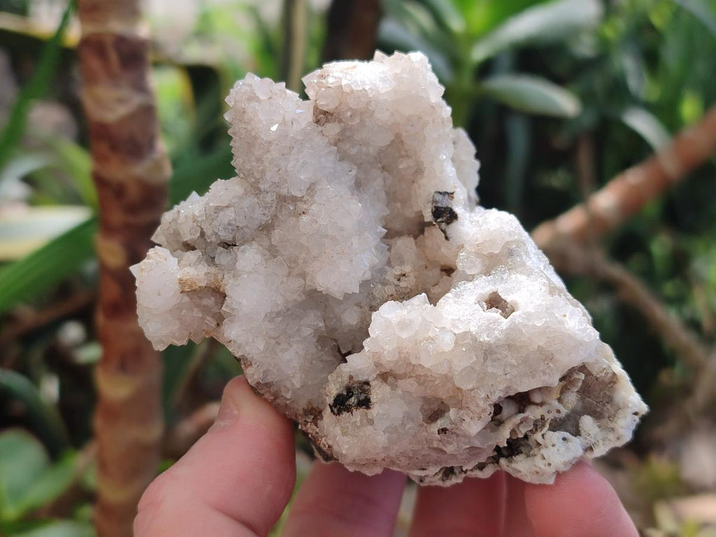 Natural Snow Finger Quartz Coated Clusters x 6 From Albert's Mountain, Lesotho