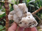 Natural Snow Finger Quartz Coated Clusters x 6 From Albert's Mountain, Lesotho
