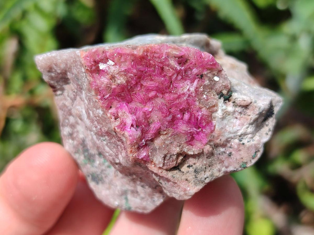 Natural Salrose Cobaltoan Dolomite Specimens x 16 From Kakanda, Congo