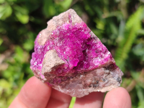 Natural Salrose Cobaltoan Dolomite Specimens x 16 From Kakanda, Congo