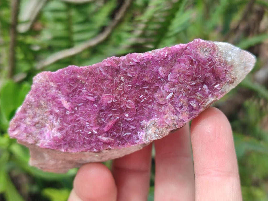 Natural Salrose Cobaltoan Dolomite Specimens x 16 From Kakanda, Congo