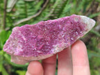 Natural Salrose Cobaltoan Dolomite Specimens x 16 From Kakanda, Congo