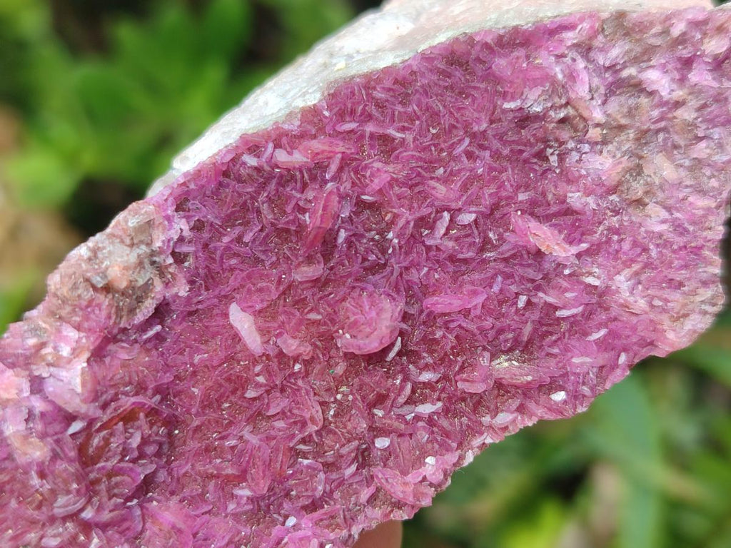 Natural Salrose Cobaltoan Dolomite Specimens x 16 From Kakanda, Congo