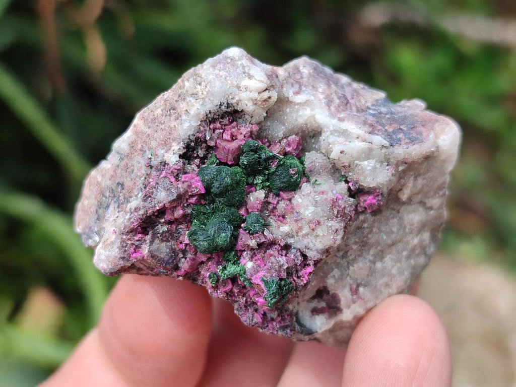 Natural Salrose Cobaltoan Dolomite Specimens x 16 From Kakanda, Congo
