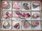 Natural Salrose Cobaltoan Dolomite Specimens x 16 From Kakanda, Congo