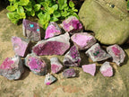 Natural Salrose Cobaltoan Dolomite Specimens x 16 From Kakanda, Congo
