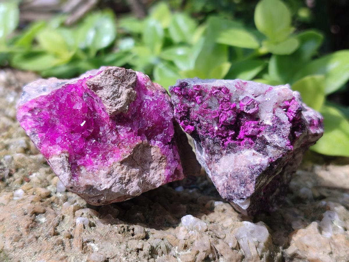 Natural Salrose Cobaltoan Dolomite Specimens x 16 From Kakanda, Congo