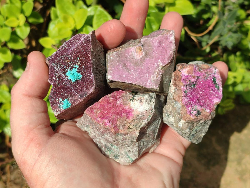 Natural Salrose Cobaltoan Dolomite Specimens x 16 From Kakanda, Congo
