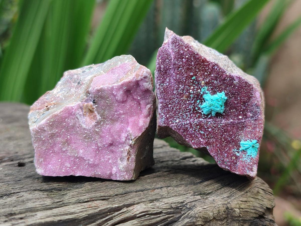 Natural Salrose Cobaltoan Dolomite Specimens x 16 From Kakanda, Congo